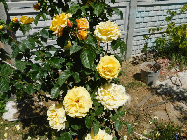 DSCN0076.jpg