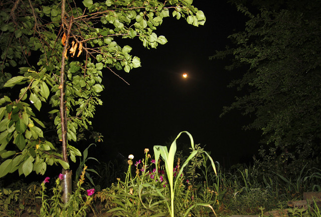 100c010083m1
