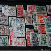 IMG-2028