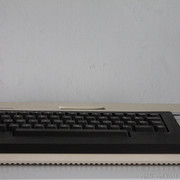 IMG-8445