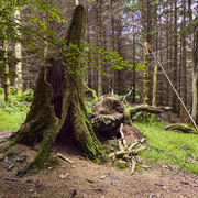 DSCF0633