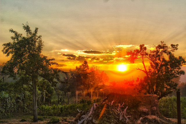 HDR4
