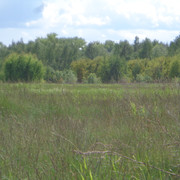 DSC00644