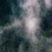 IPB Image