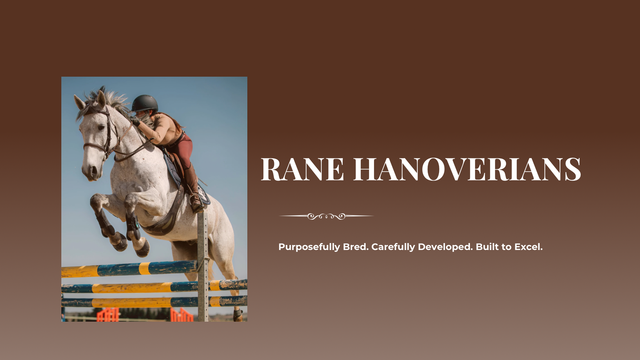 Horse-Rider-Club.png?utm_source=chatgpt.com