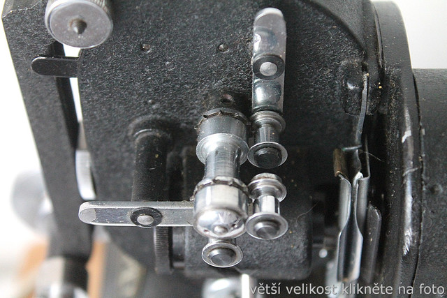 IMG-5252.jpg
