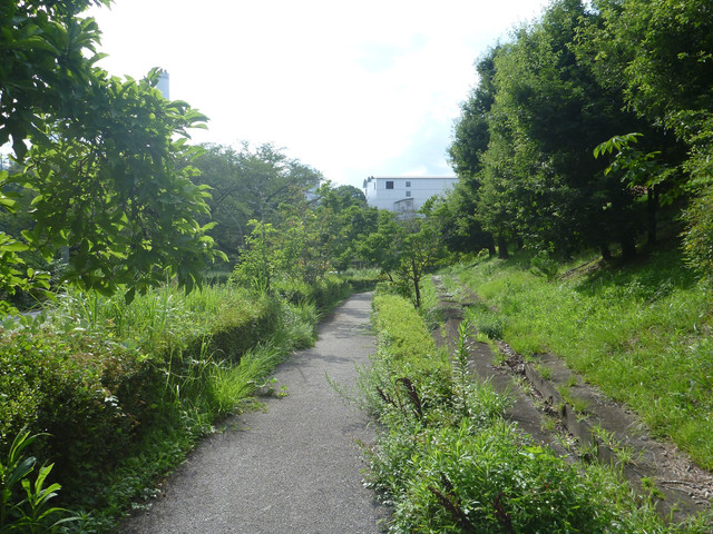 P1320988