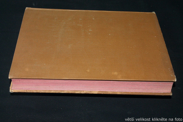 IMG-6384.jpg