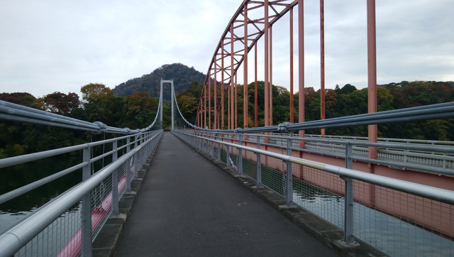 IMG-20221110-131512