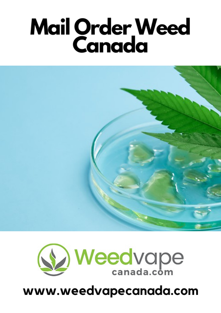 Main-Order-Weed-Canada-9.png