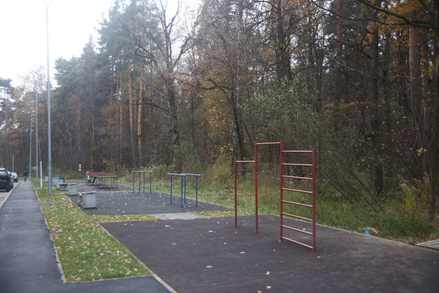 IMG-2081