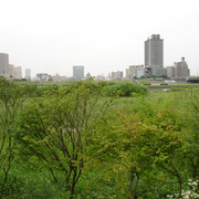 2010-06-24-059