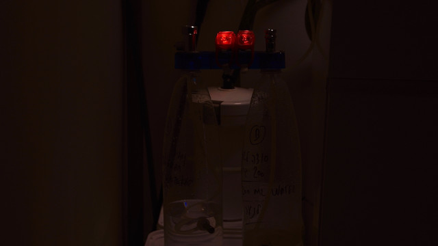 DSC-0041