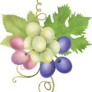 Bouquets-Compositions-15