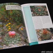 IMG-3302