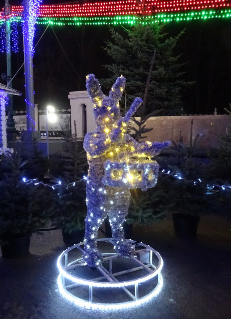 DSC00198-5