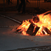 IMG-8377