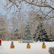 2a0215m