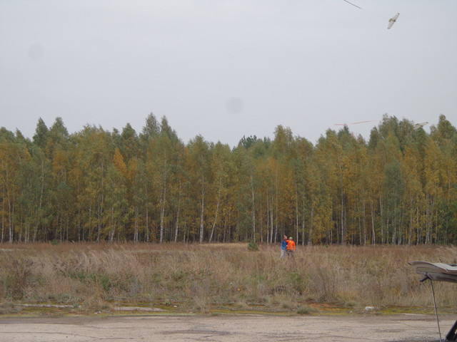 DSC03293.jpg