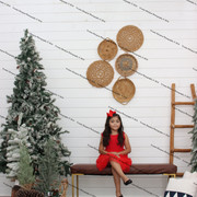 IMG-4559