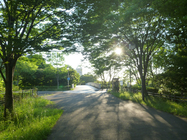 P1320075