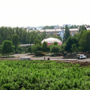 i-13