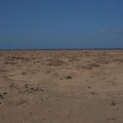 DSCF8300