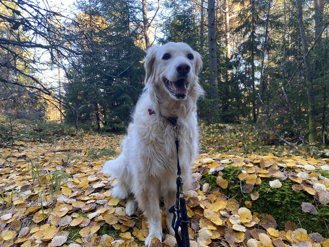 7-D1-DEC3-C-819-C-4373-8989-09-DF2-A7-AC