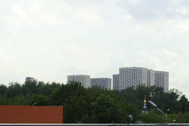 DSC5454.jpg