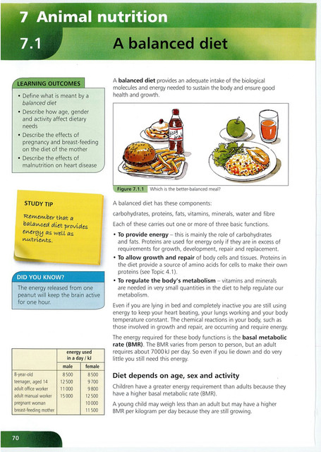 74 Essential Biology for IGCSE