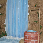 IMG-7282