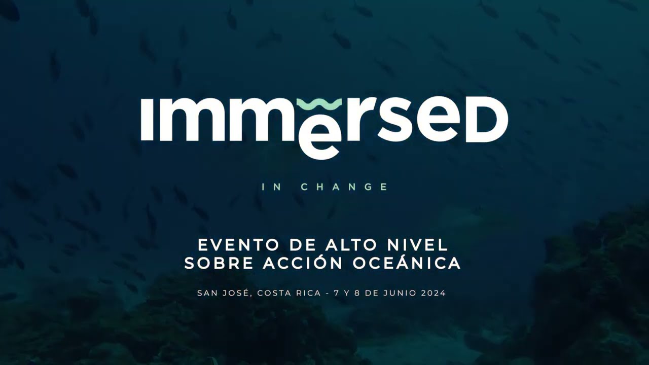 IMMERSED.jpg Chubut tendrá marcada presencia en evento internacional que impulsa la conservación de los océanos
