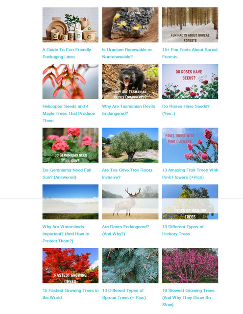 thumbnail-image