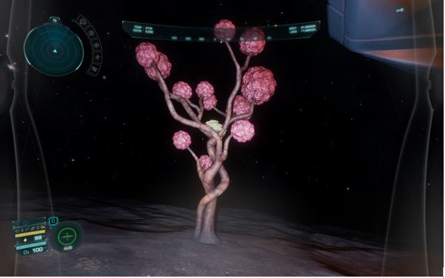 Hirnbaum01