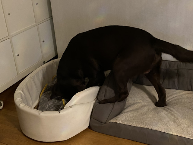 A00-CC122-1-F16-4-FBF-A5-EB-220-F027242-