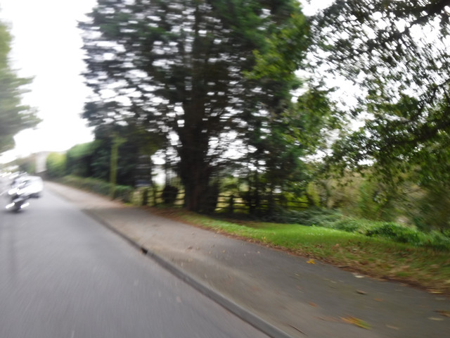 DSCF5447