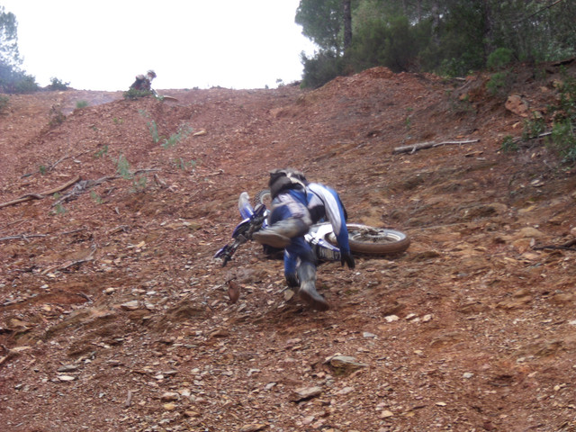 DSCF1451.jpg