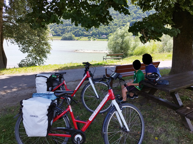 DIA 8. Melk a Kremns an der Donau. Sábado 8 de julio - Ruta en bici del Danubio- julio 2023 (13)