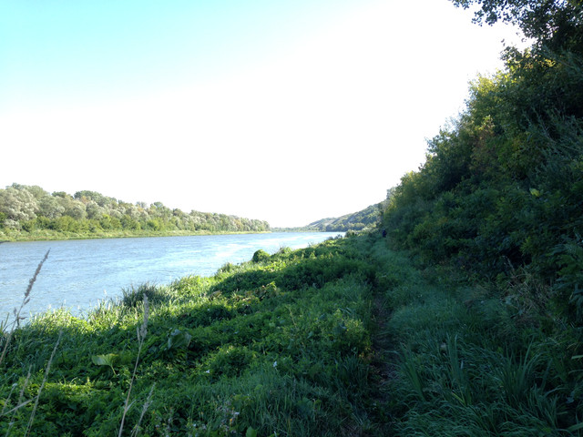 IMG-4131.jpg