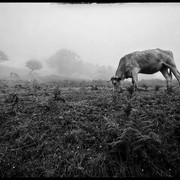 comp-IMG-9375