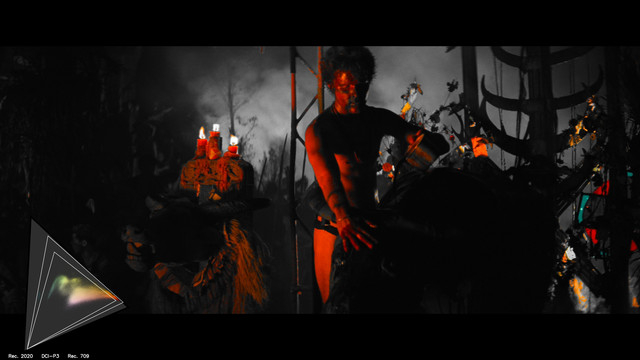 gamut-APOC056