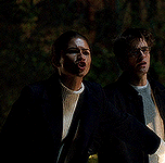 gg Untitled 3.gif