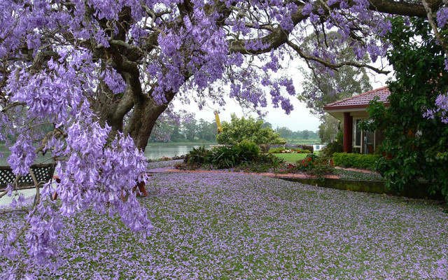 spring-030
