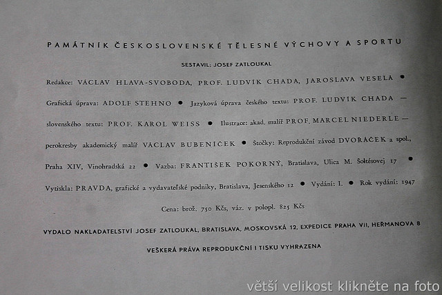 IMG-5532.jpg