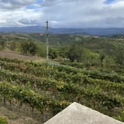 IMG-2136