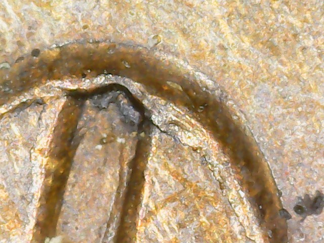 Is-This-A-Mint-Damaged-1908-IHC.-Looks-Double-Struck-To-Me.
