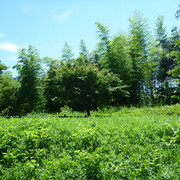P1330930