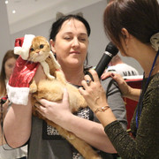 IMG-8008