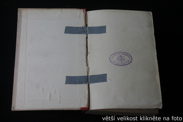 IMG-4221.jpg