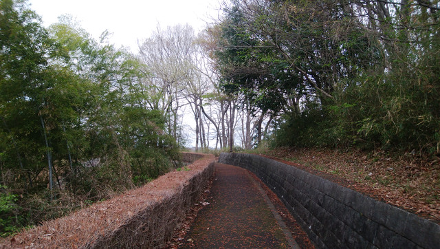 DSC-0019.jpg